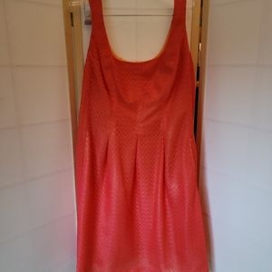 Jones Studio Dress